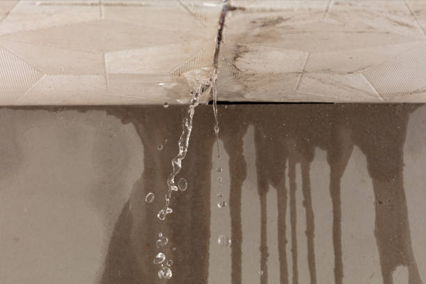 Professional Structural Drying technician working in Hadley, MI